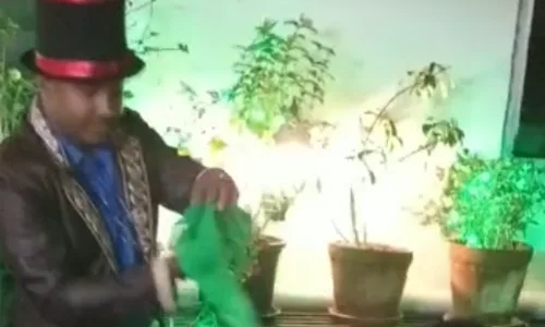 Magic Show